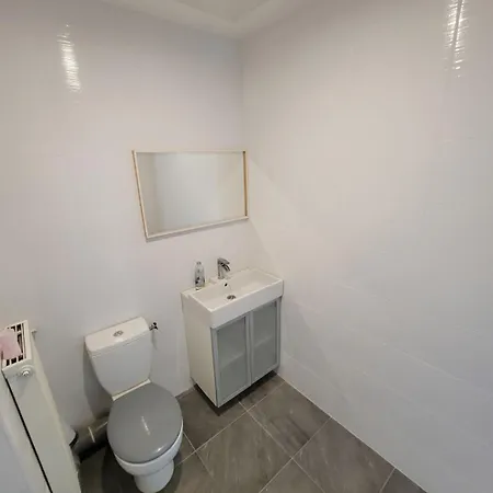 Bed & Breakfast Spacieuses Hyper Centre Saint-Etienne (Loire)
