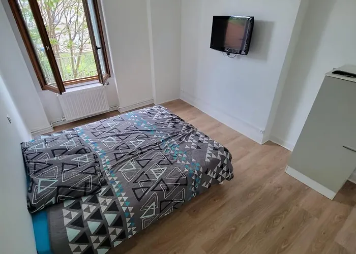 Spacieuses Hyper Centre Bed & Breakfast Saint-Etienne (Loire)