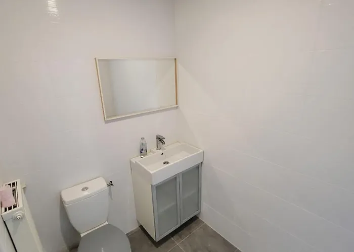 Bed & Breakfast Spacieuses Hyper Centre Saint-Etienne (Loire)